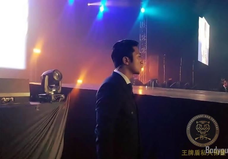 私人保鏢 私人保鏢